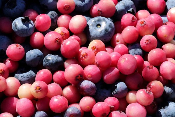 Assorted blueberries